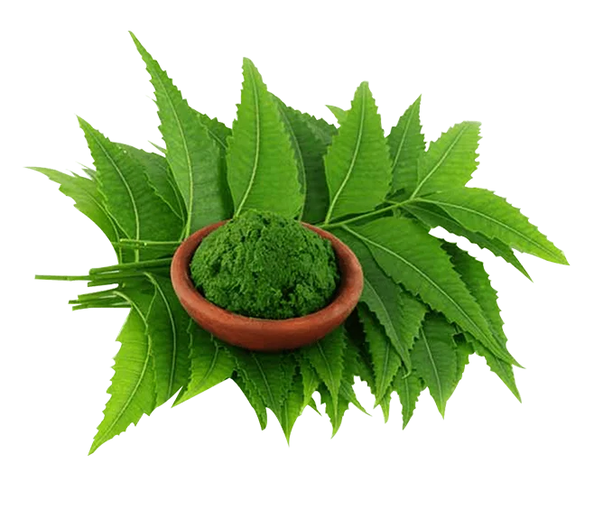 herbal-pure-product-7